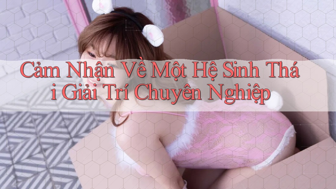 Cảm Nhận Về Một Hệ Sinh Thái Giải Trí Chuyên Nghiệp Cảm Nhận Về Một Hệ Sinh Thái Giải Trí Chuyên Nghiệp
