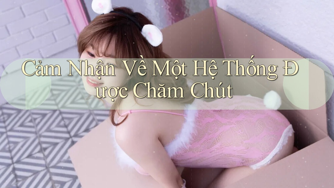 Cảm Nhận Về Một Hệ Thống Được Chăm Chút