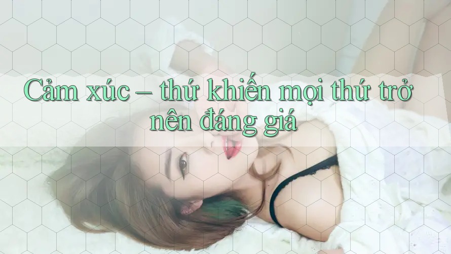 Cảm xúc – thứ khiến mọi thứ trở nên đáng giá