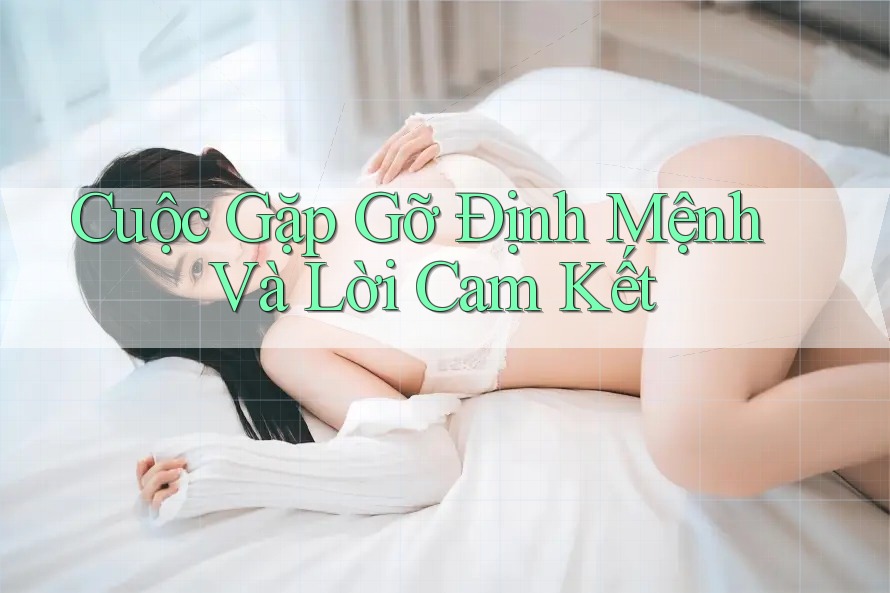 Cuộc Gặp Gỡ Định Mệnh Và Lời Cam Kết