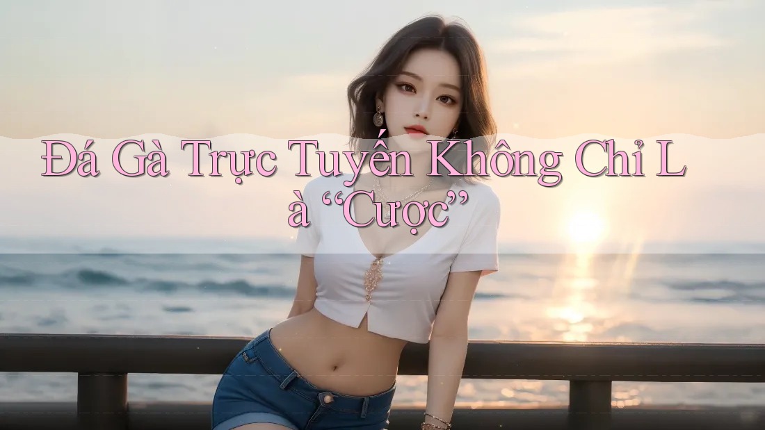 Đá Gà Trực Tuyến Không Chỉ Là “Cược”