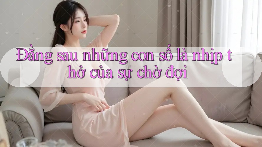 Đằng sau những con số là nhịp thở của sự chờ đợi