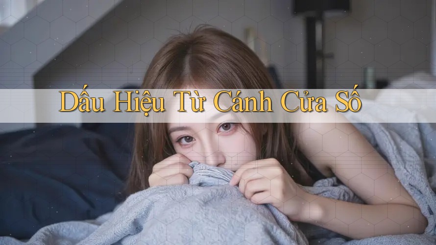 Dấu Hiệu Từ Cánh Cửa Số