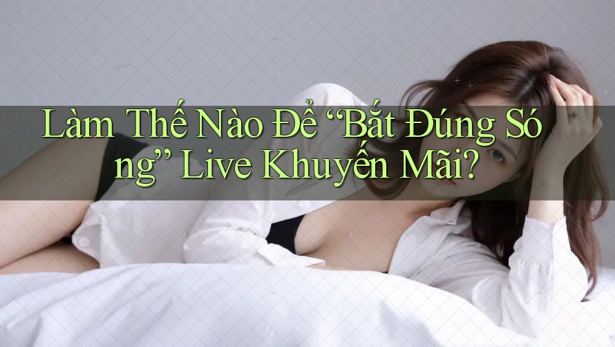 Làm Thế Nào Để “Bắt Đúng Sóng” Live Khuyến Mãi?