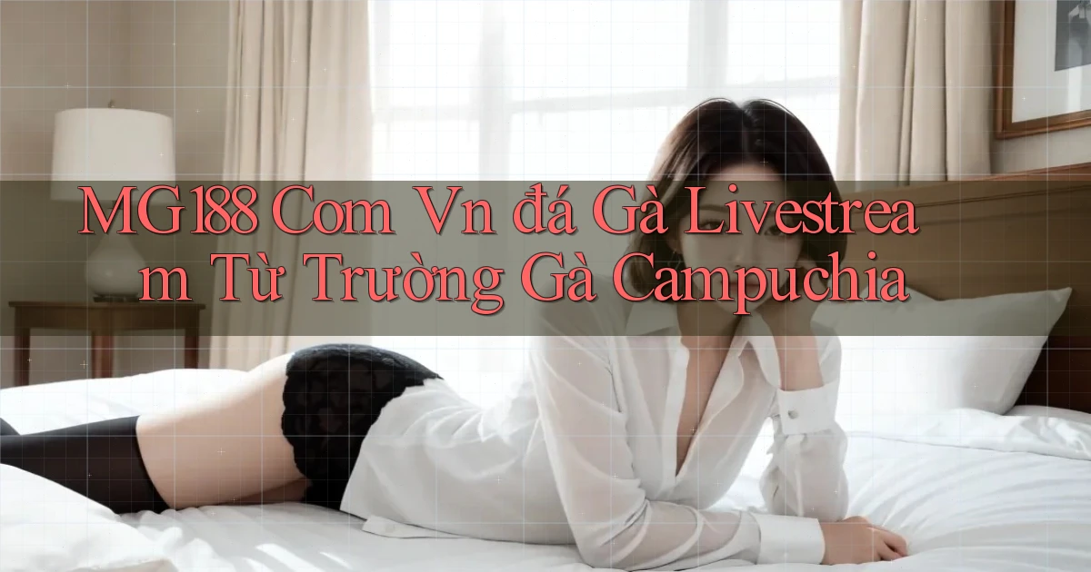 mg188 com vn đá gà livestream từ trường gà Campuchia