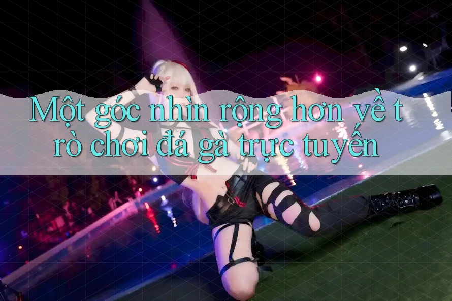 Một góc nhìn rộng hơn về trò chơi đá gà trực tuyến Một góc nhìn rộng hơn về trò chơi đá gà trực tuyến