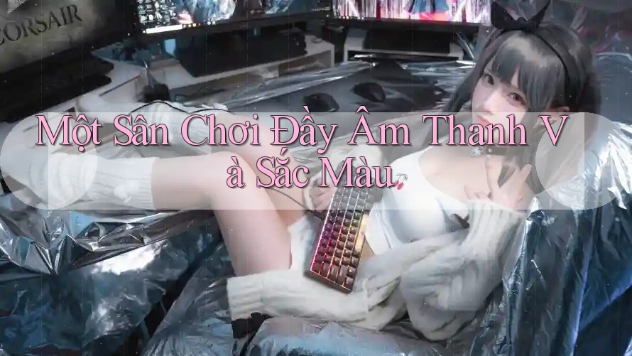 Một Sân Chơi Đầy Âm Thanh và Sắc Màu