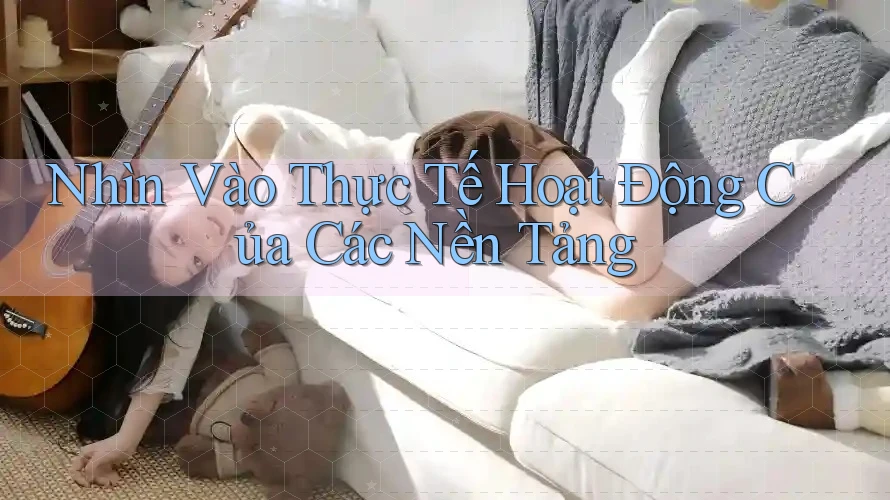 Nhìn Vào Thực Tế Hoạt Động Của Các Nền Tảng