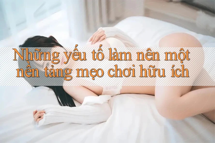 Những yếu tố làm nên một nền tảng mẹo chơi hữu ích Những yếu tố làm nên một nền tảng mẹo chơi hữu ích