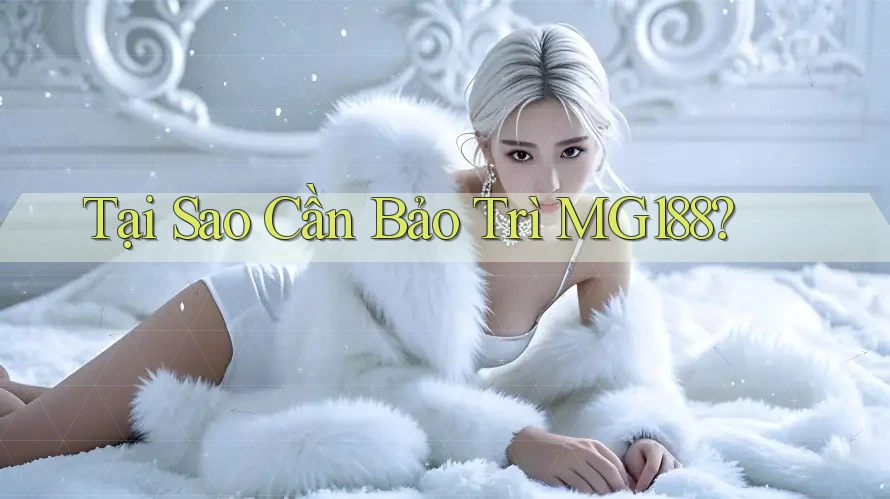 Tại Sao Cần Bảo Trì MG188?