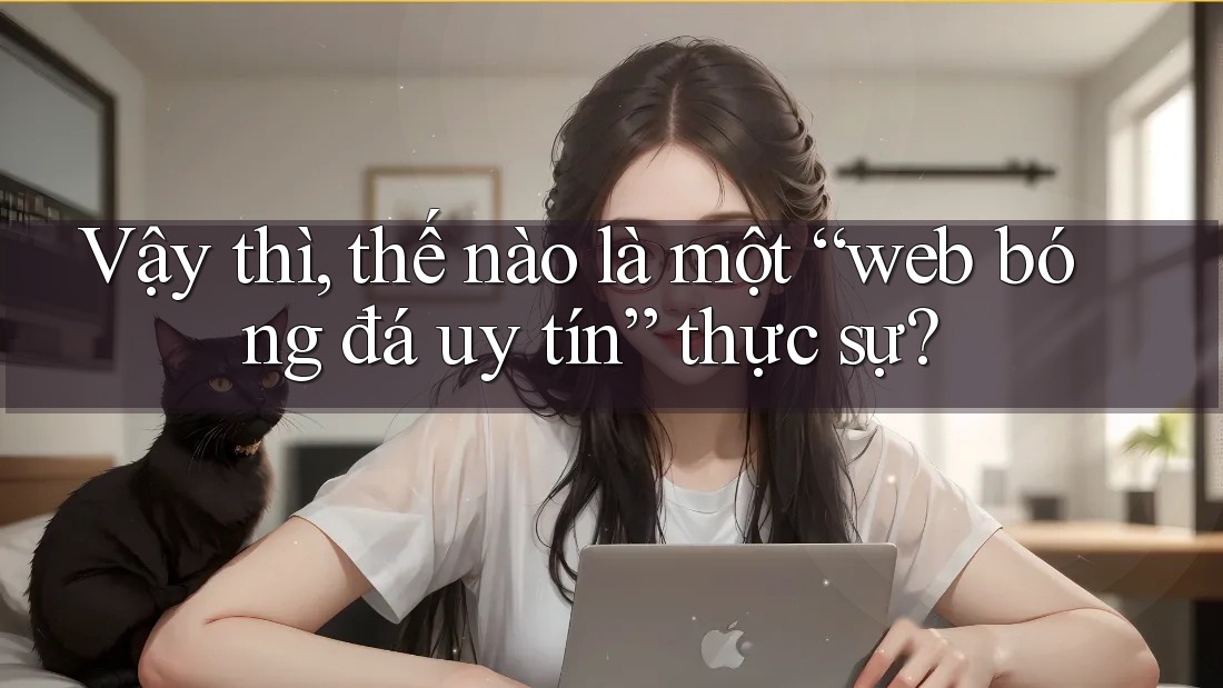 Vậy thì, thế nào là một “web bóng đá uy tín” thực sự?