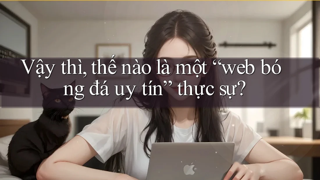 Vậy thì, thế nào là một “web bóng đá uy tín” thực sự?